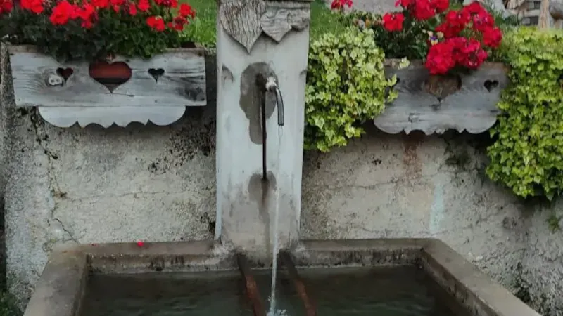 Fontana guardina in Valchesina a Rivamonte Agordino