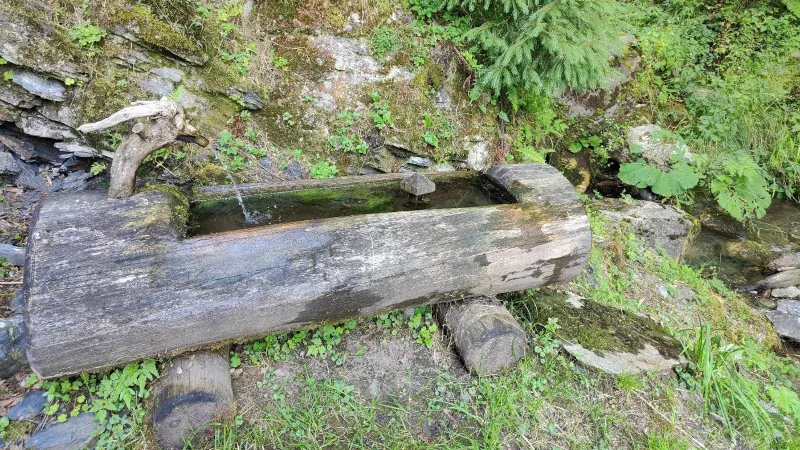 La Fontana Guardiana con la sua vasca di legno antico