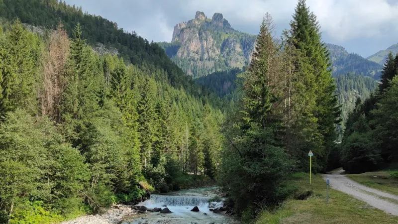 Il sentiero sterrato lungo il fiume Avisio