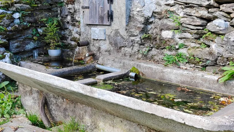 Acqua cristallina che sgorga dalla fonte di montagna