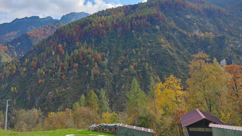 Panorama autunnale dalle montagne con alberi dai colori caldi